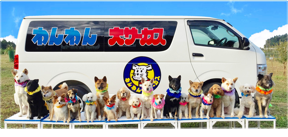 動物イベント わんわん大サーカス